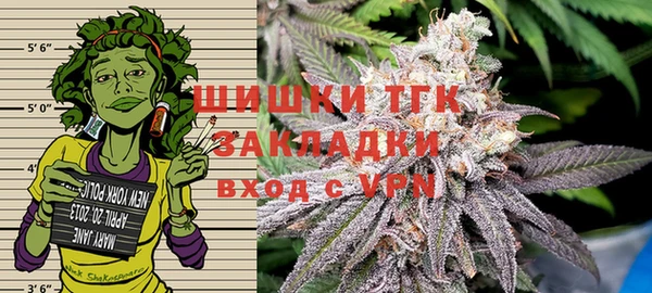 шишки Балабаново