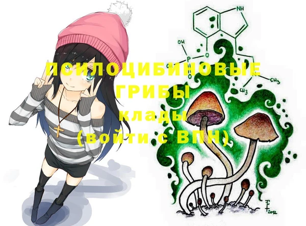 шишки Балабаново